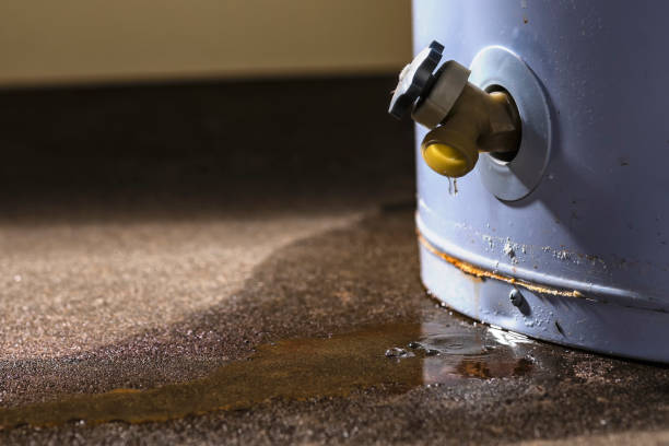 Best Water damage contractors near me  in Mayville, MI