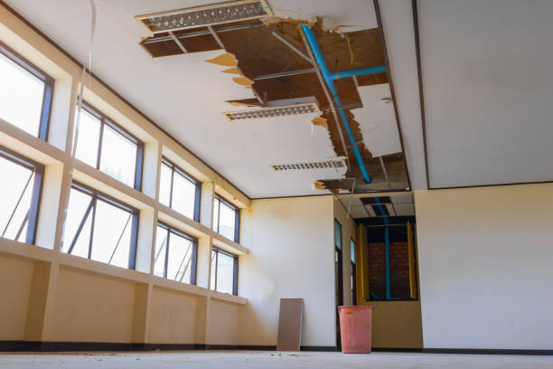 Best Emergency water damage restoration  in Mayville, MI