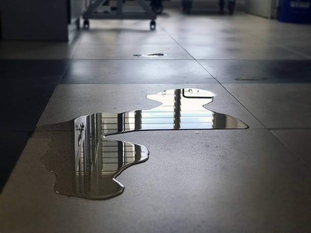 Best Commercial water damage restoration  in Mayville, MI