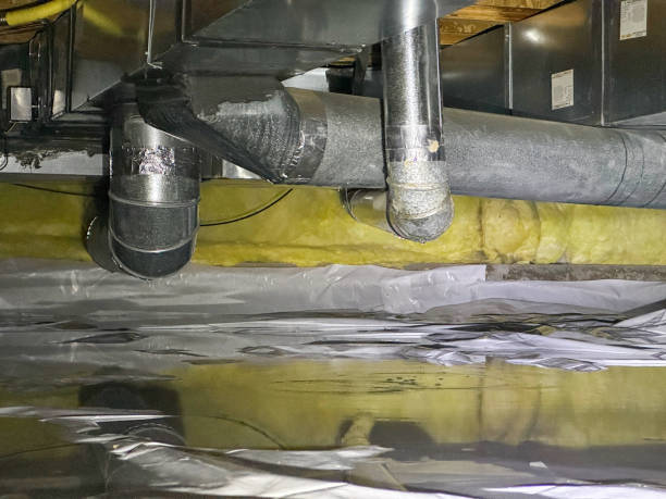 Best Water damage restoration near me  in Mayville, MI