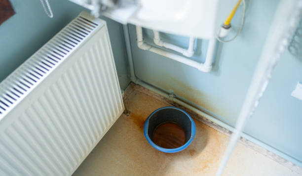 Best Professional water damage repair  in Mayville, MI