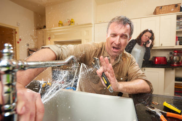 Best Water damage restoration services  in Mayville, MI